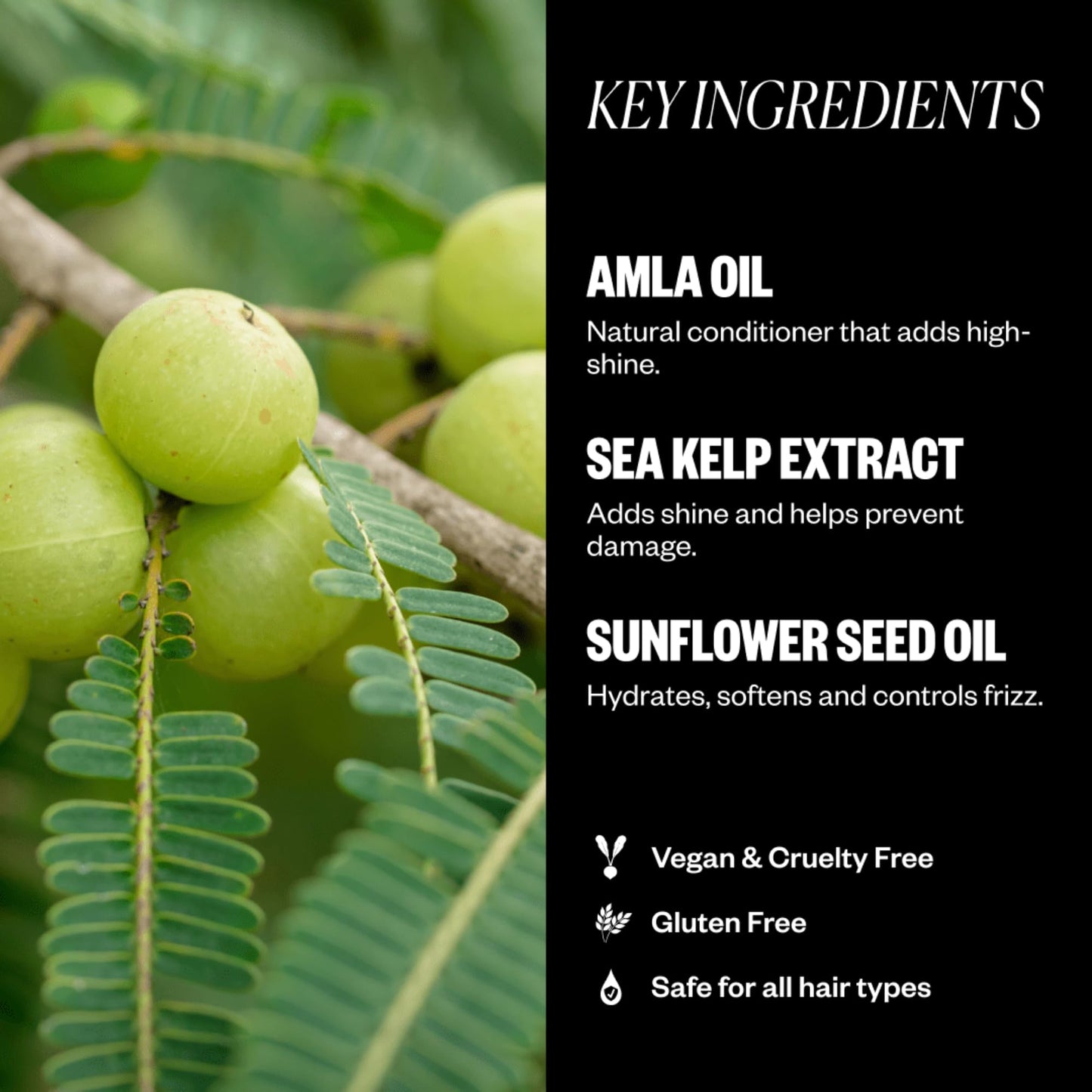 IGK Expensive Amla Oil High Shine Gloss Treatment | Strengthens, Softens & Enhances Shine | UV Protection + Color Safe | Vegan & Cruelty Free | 1.7 oz Beauty & Personal Care IGK