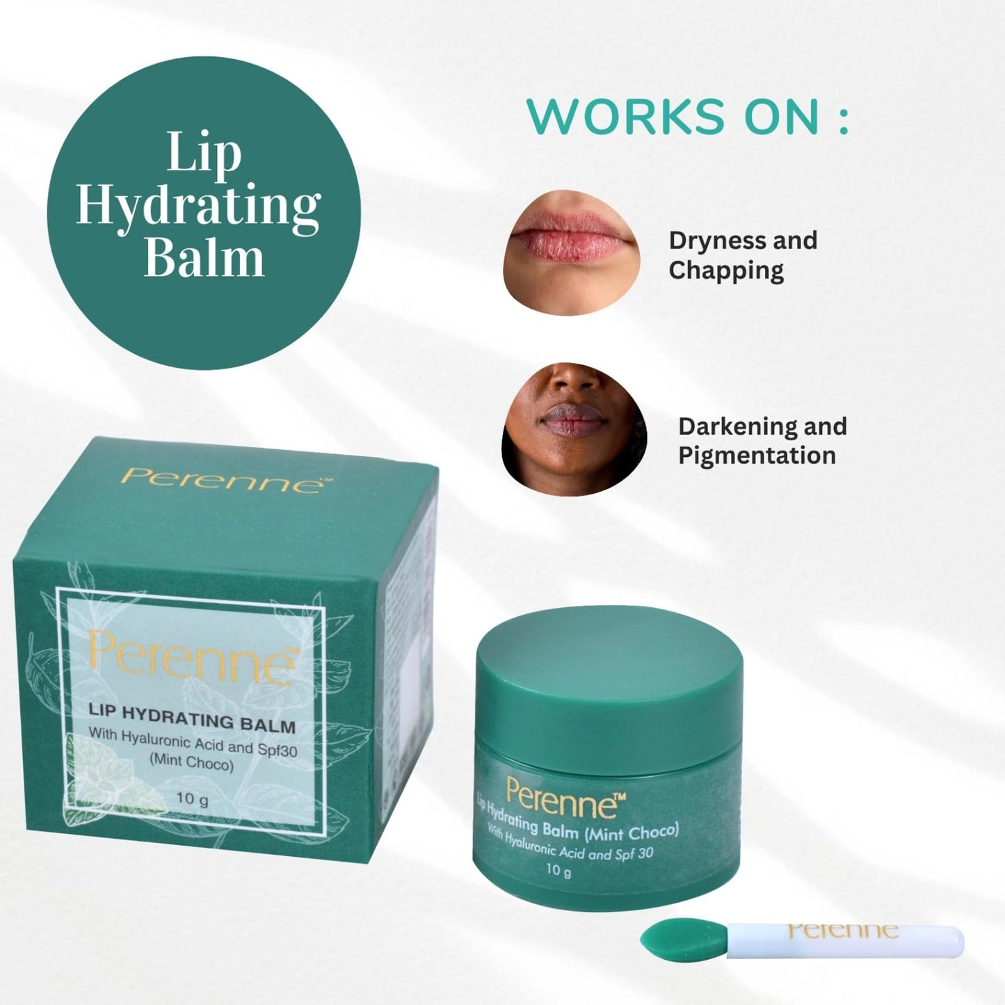 Perenne Lip Hydrating balm For (Mint Choco) With Hyaluronic acid and SPF (10 gm) Beauty and Personal Care Perenne