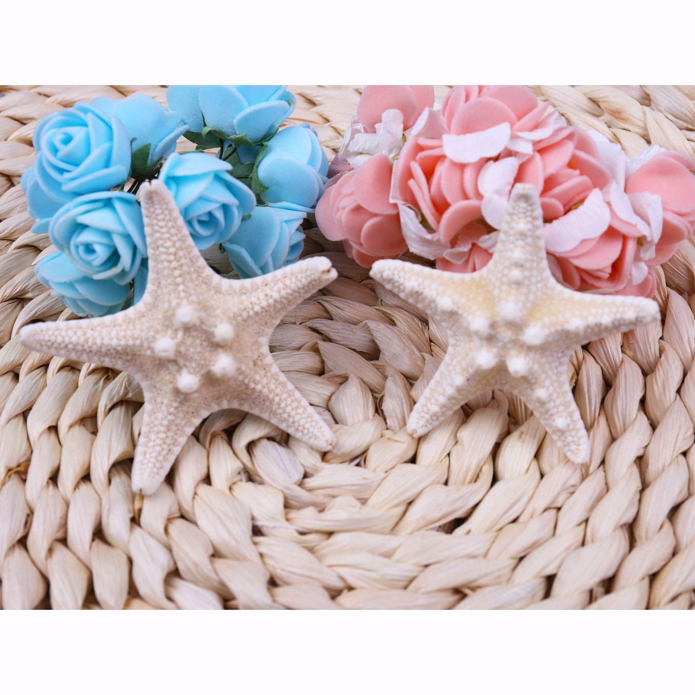 Aluinn Starfish Hair Clip Boho Barrettes Lovely Mermaid Beach Hair Hairpin Jewelry for Women Set of2 Beauty & Personal Care Aluinn