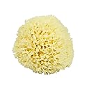 Neptune Natural Renewable Sea Wool Sponge, Hand Cut, Large, Approx. 6-7" Beauty & Personal Care Neptune Natural