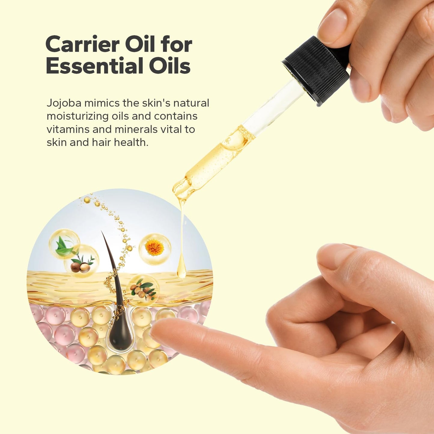 SilkySecret Organic Jojoba Oil, Natural Moisturizing and Conditioning Oil, Jojoba Oil for Hair Growth, Massage Oil, Cold Pressed Carrier Oil Beauty & Personal Care SilkySecret