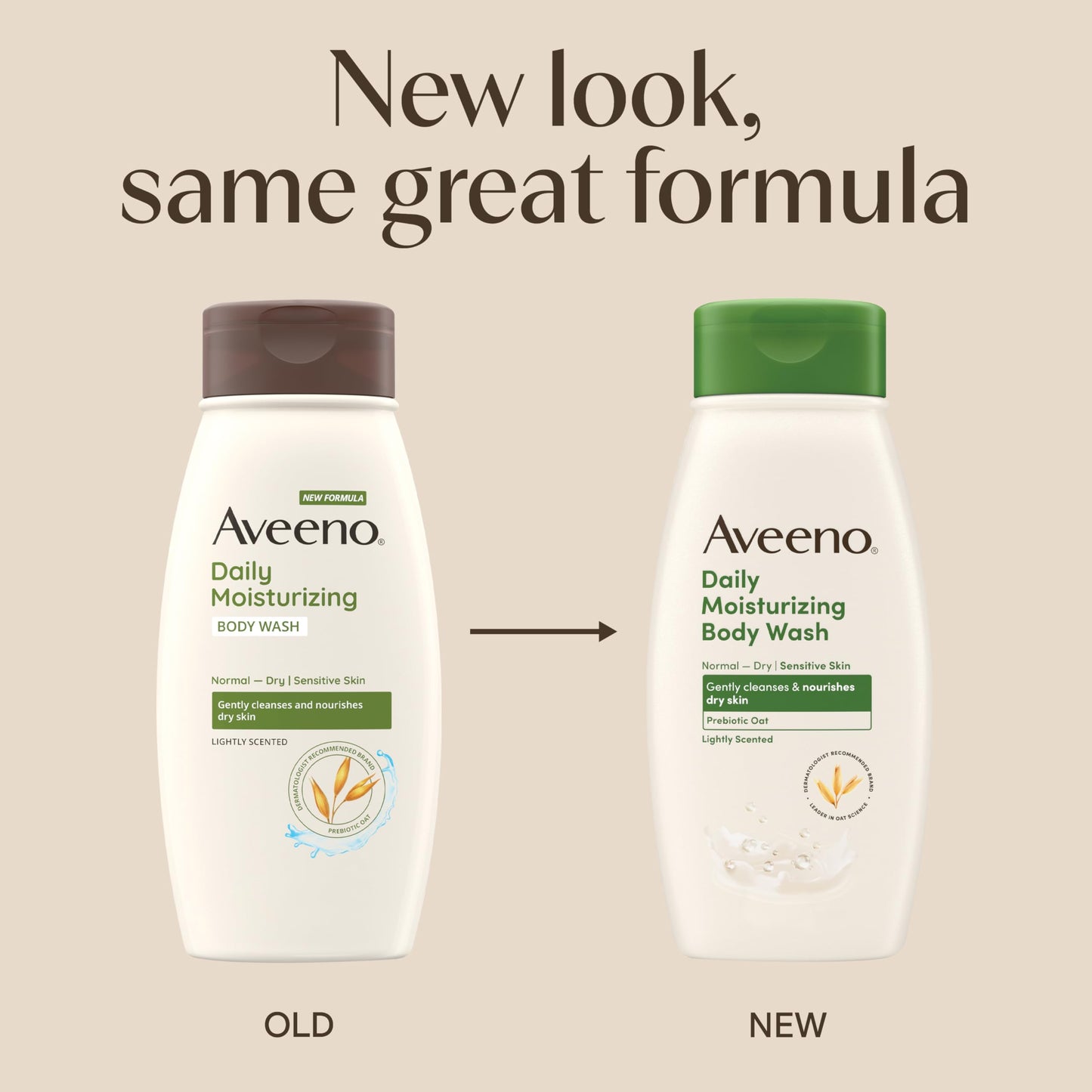 AVEENO Active Naturals Daily Moisturizing Body Wash 18 oz (Pack of 10) Beauty & Personal Care Aveeno