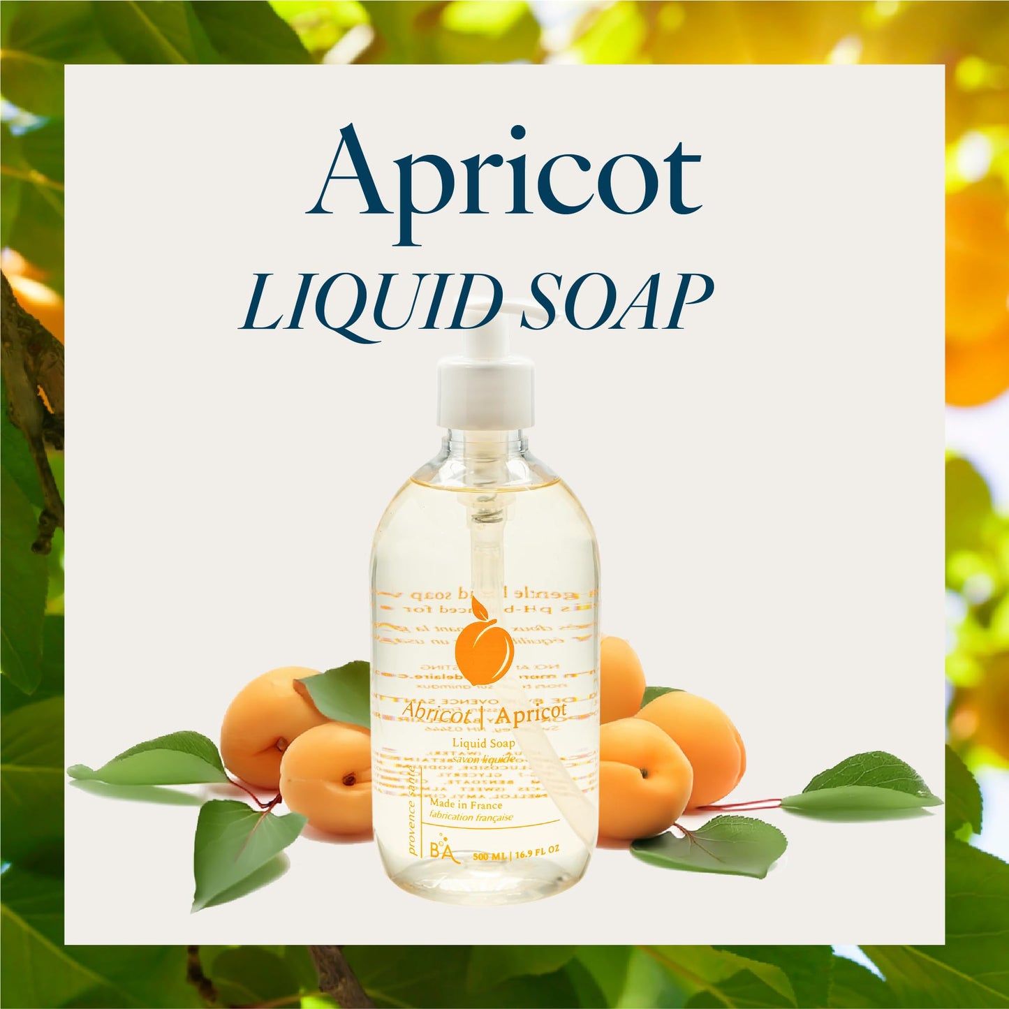Provence Sante Natural Liquid Soap - Moisturizing Almond Oil Hand Soap with Ripe Apricot Scent - Elegant Pump Dispenser for Kitchen & Bath (16.9 oz) Beauty & Personal Care Provence Sante