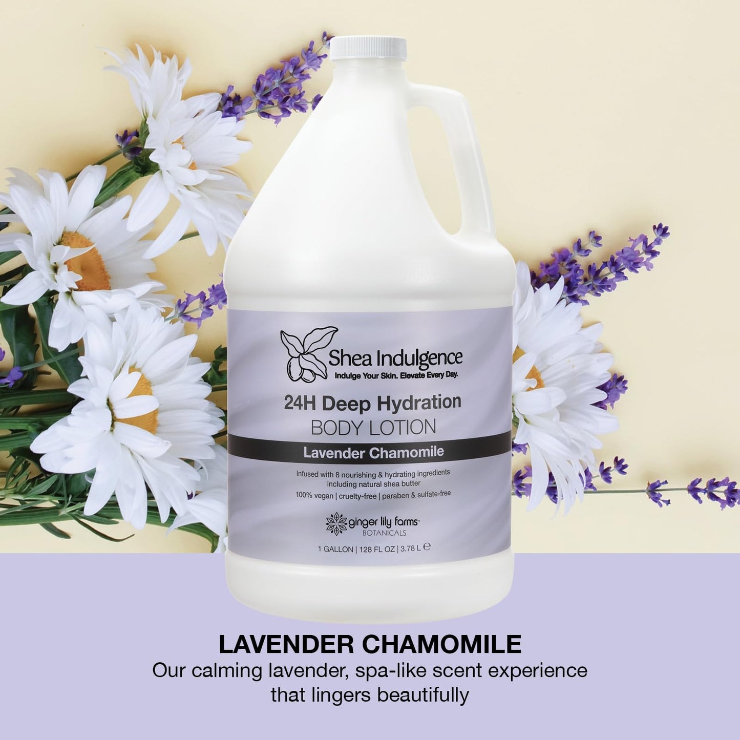 Ginger Lily Farms Botanicals Shea Indulgence 24H Deep Hydration Body Lotion, 100% Vegan & Cruelty-Free, Lavender Chamomile Scent, 1 Gallon (128 fl oz) Beauty & Personal Care Ginger Lily Farms