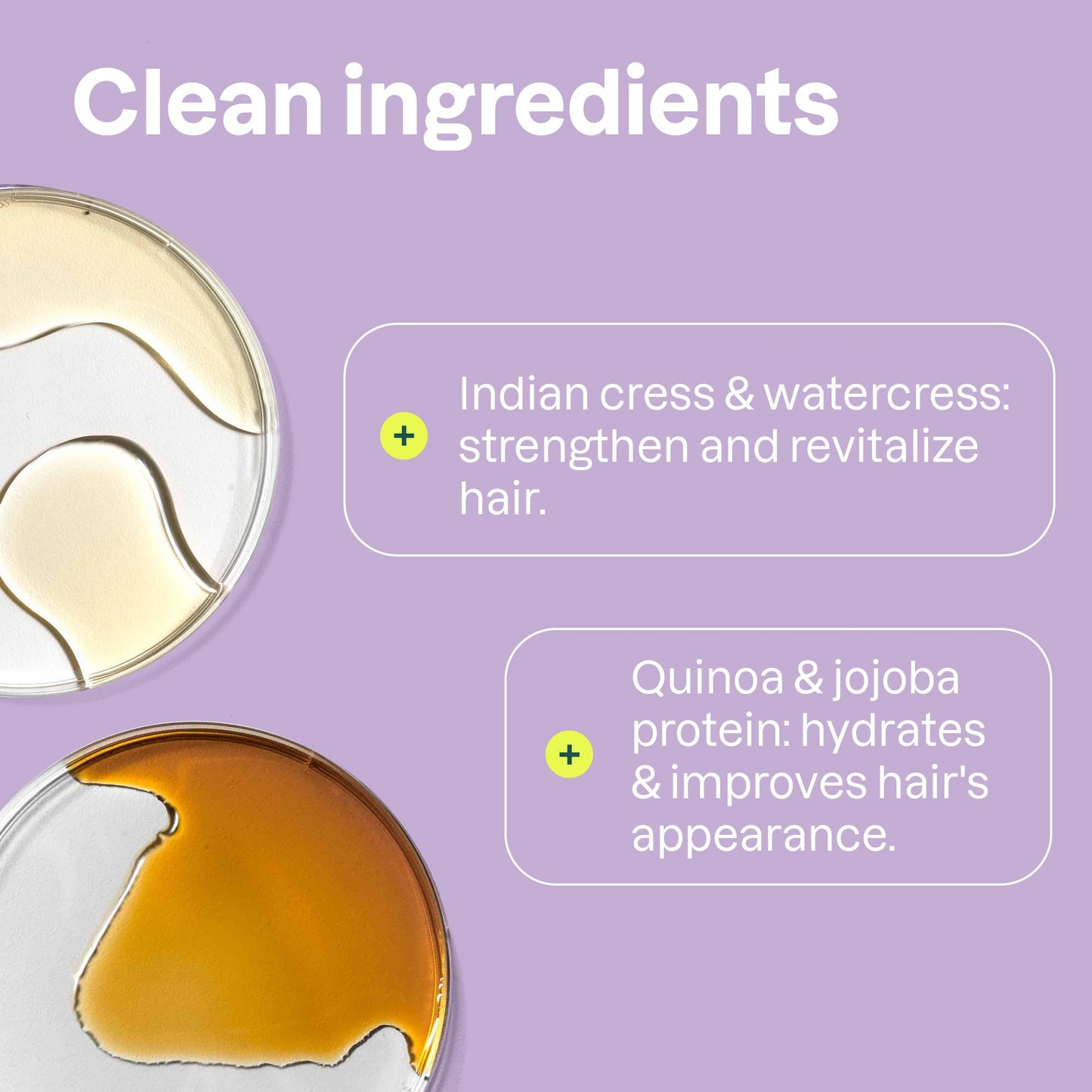 ATTITUDE Moisture Rich Hair Conditioner, For Dry and Damaged Hair, Naturally Derived Ingredients, Vegan Detangler, Dermatologiocally Tested, Quinoa Beauty & Personal Care ATTITUDE