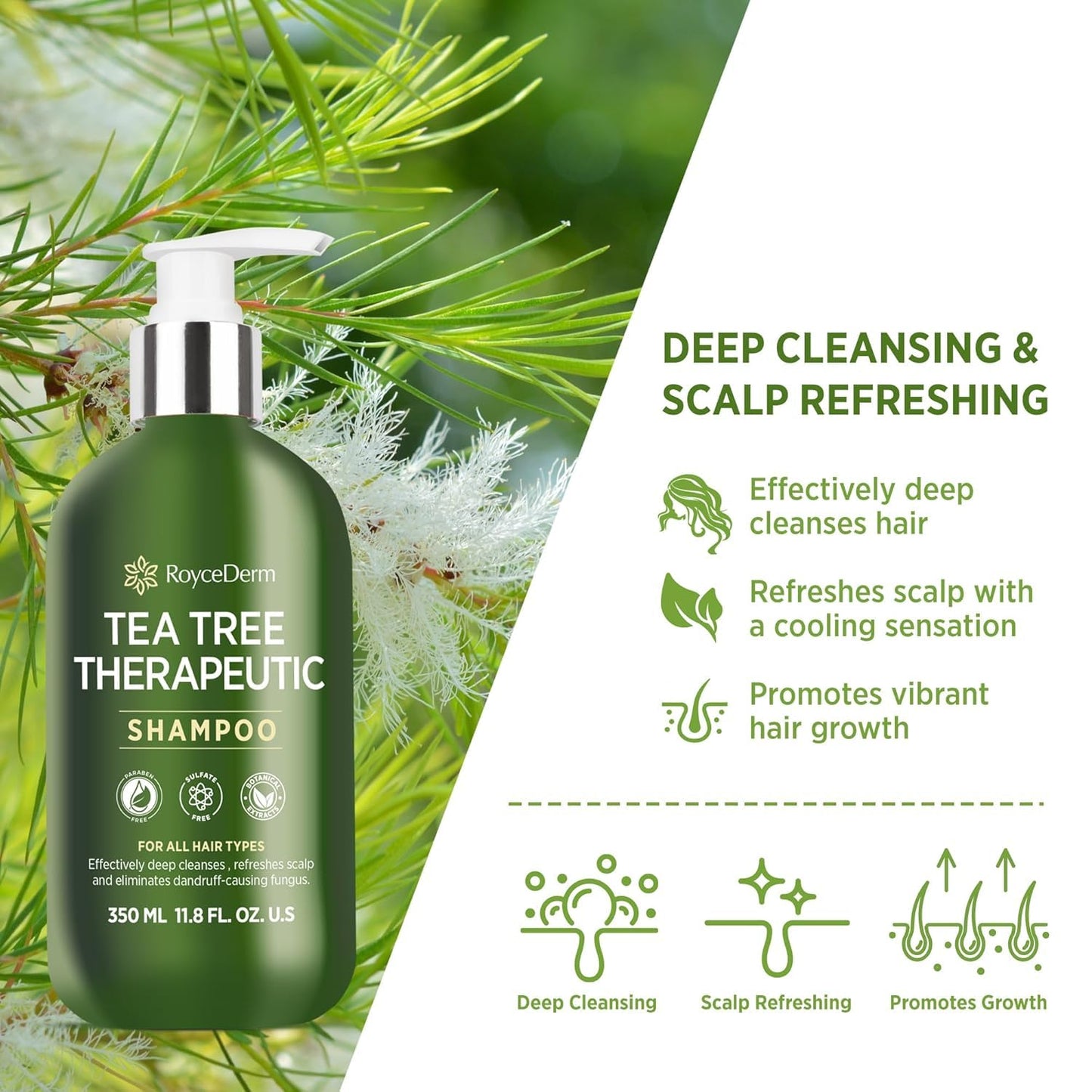 Roycederm Tea Tree Antifungal Shampoo: Folliculitis Shampoo for Dry Scalp, Dandruff, and Itchy Scalp - Medicated Clarifying shampoo with Tea Tree Oil Beauty & Personal Care Roycederm