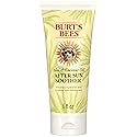 Burt's Bees After Sun Lotion with Hydrating Aloe Vera & Coconut Oil - Summer Essentials, Sunburn Relief, Natural After Sun Soother, 6 oz Beauty & Personal Care Burt's Bees