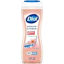 Dial Enriching Body Wash, Himalayan Salt 16 oz (Pack of 4) Beauty & Personal Care Dial