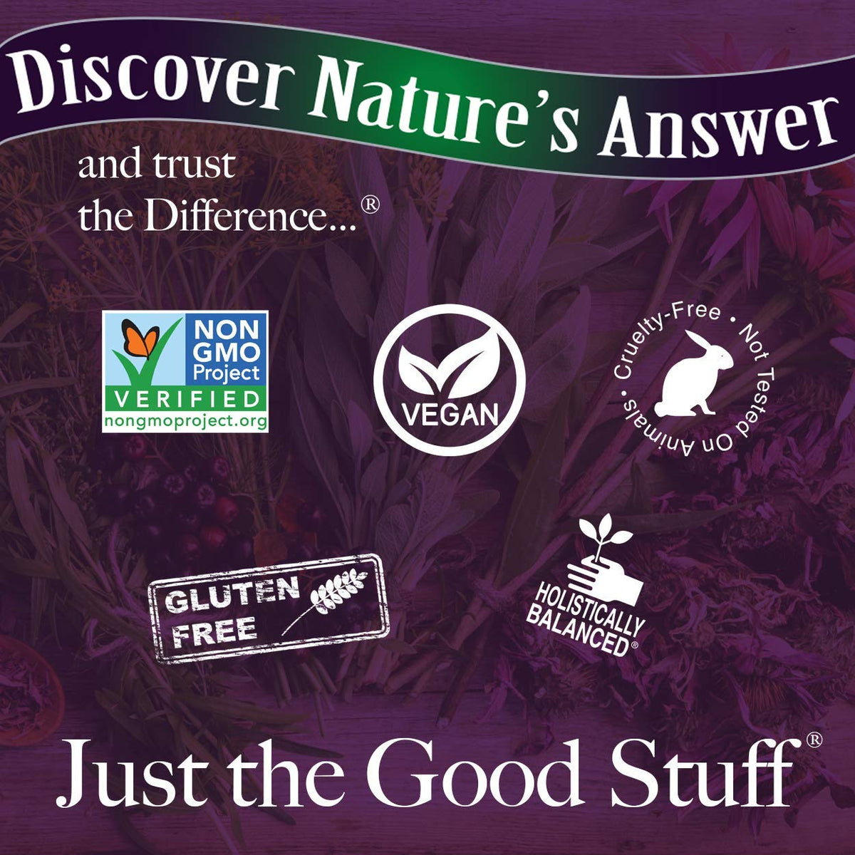 Nature's Answer Body Wash With Pure Essential Oil, Coconut Vanilla, 16 Oz Beauty & Personal Care Nature's Answer