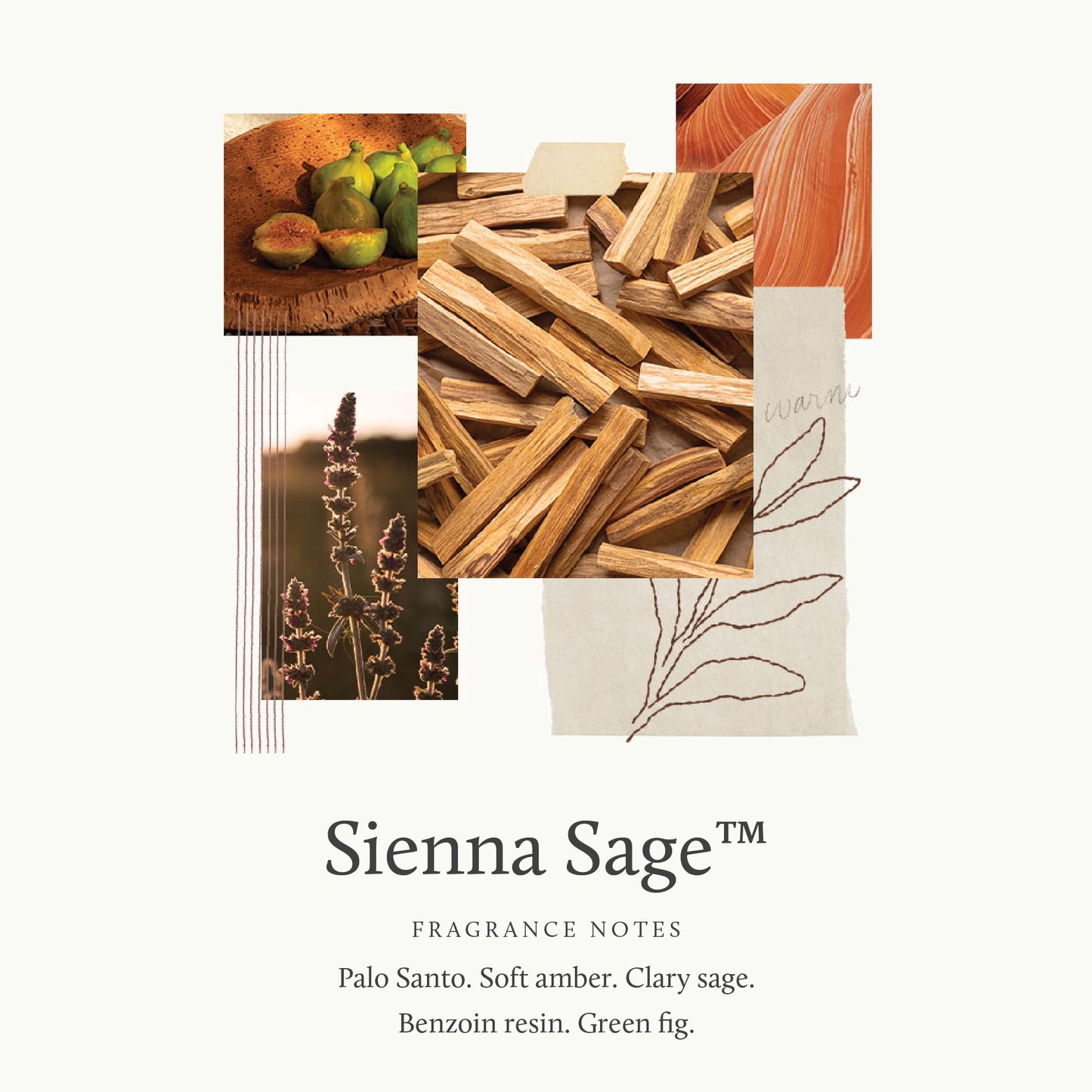 Thymes Sienna Sage Hand Cream - Hand and Body Cream (3.0 fl oz) Beauty & Personal Care Thymes
