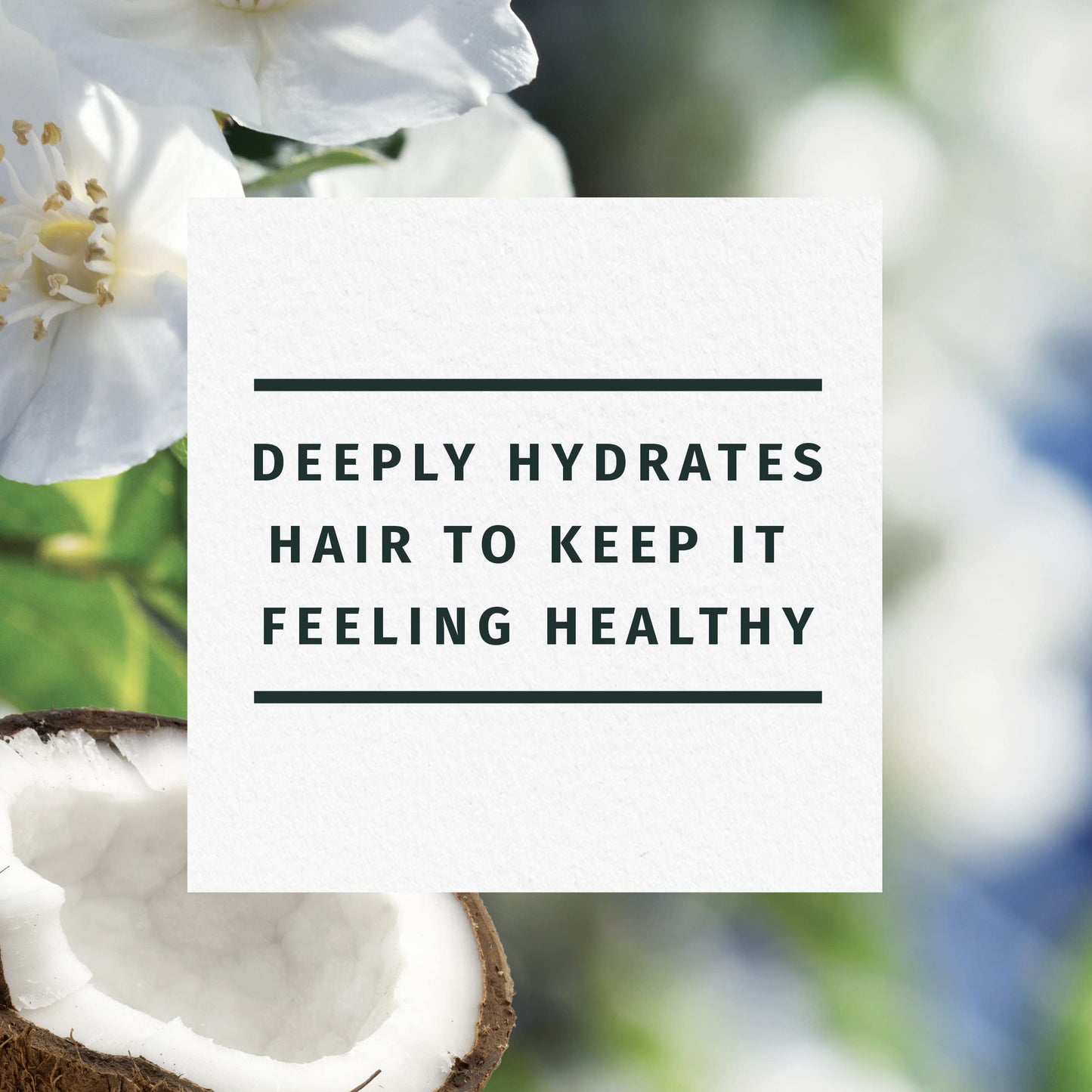Herbal Essences Shampoo and Conditioner Set for Dry Hair with Coconut Water and Jasmine, 29.2 Fl Oz Beauty & Personal Care Herbal Essences