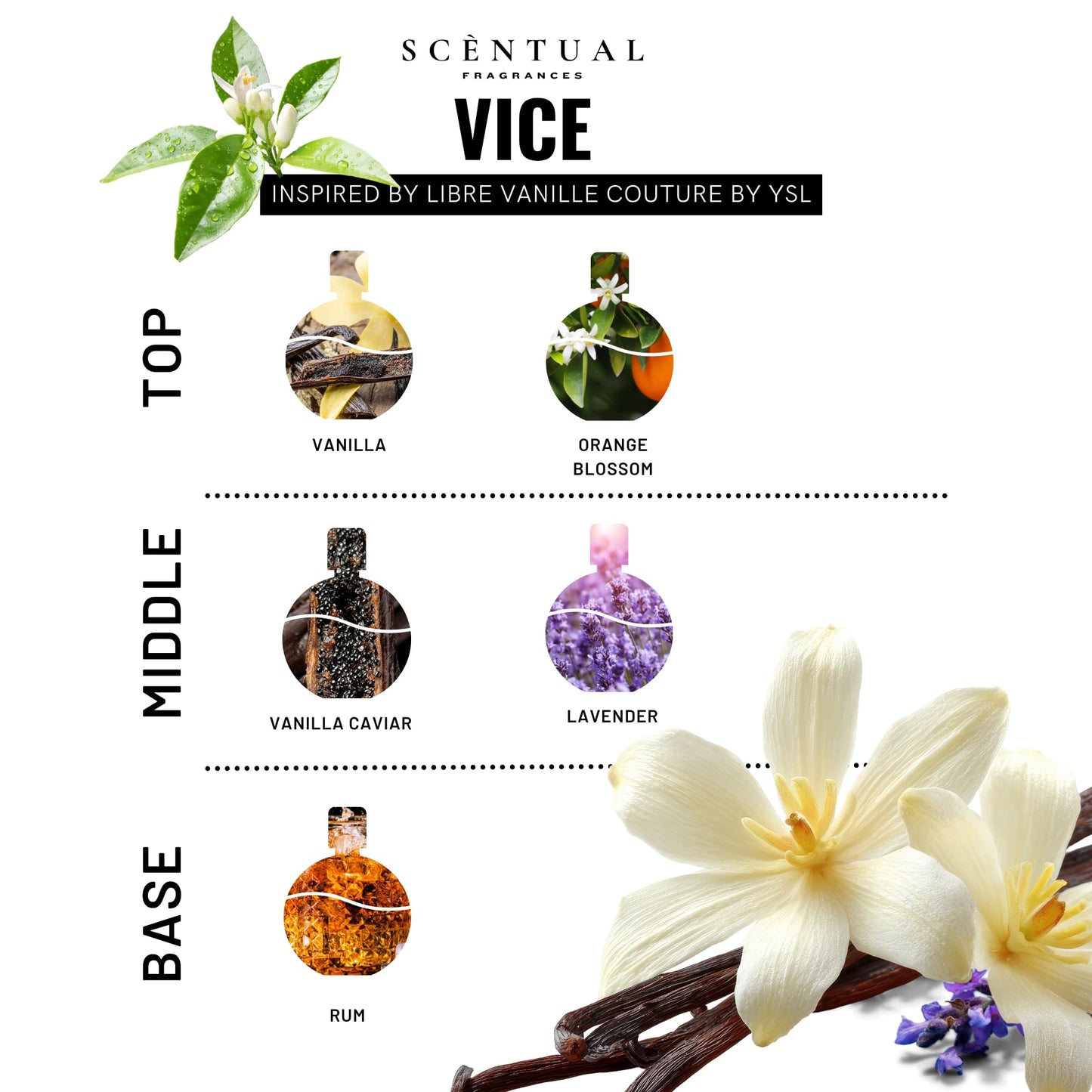 Scentual Fragrances, Vice Ultra-Concentrated Hair & Body Perfume Mist, Long Lasting Women's Fragrance, Gourmand Perfumes for Women, Vegan and Cruelty Beauty & Personal Care Scentual Fragrances