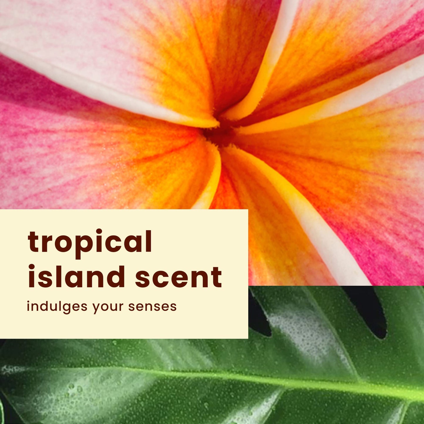 Hawaiian Tropic Everyday Active Clear Spray Sunscreen SPF 30| Hawaiian Tropic Sunscreen Spray SPF 30, Sunblock, Oxybenzone-Free, 6oz each Twin Pack Beauty & Personal Care Hawaiian Tropic