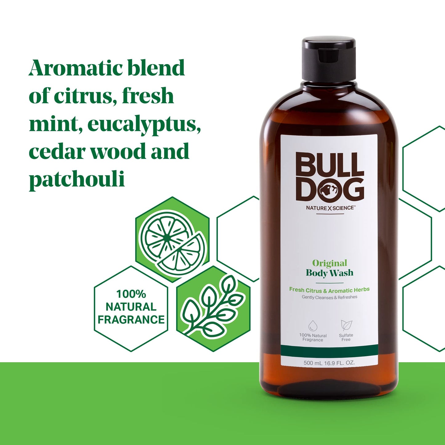 Bulldog Mens Skincare and Grooming Original Body Wash, 16.9 Ounce Beauty & Personal Care Bulldog Skincare for Men