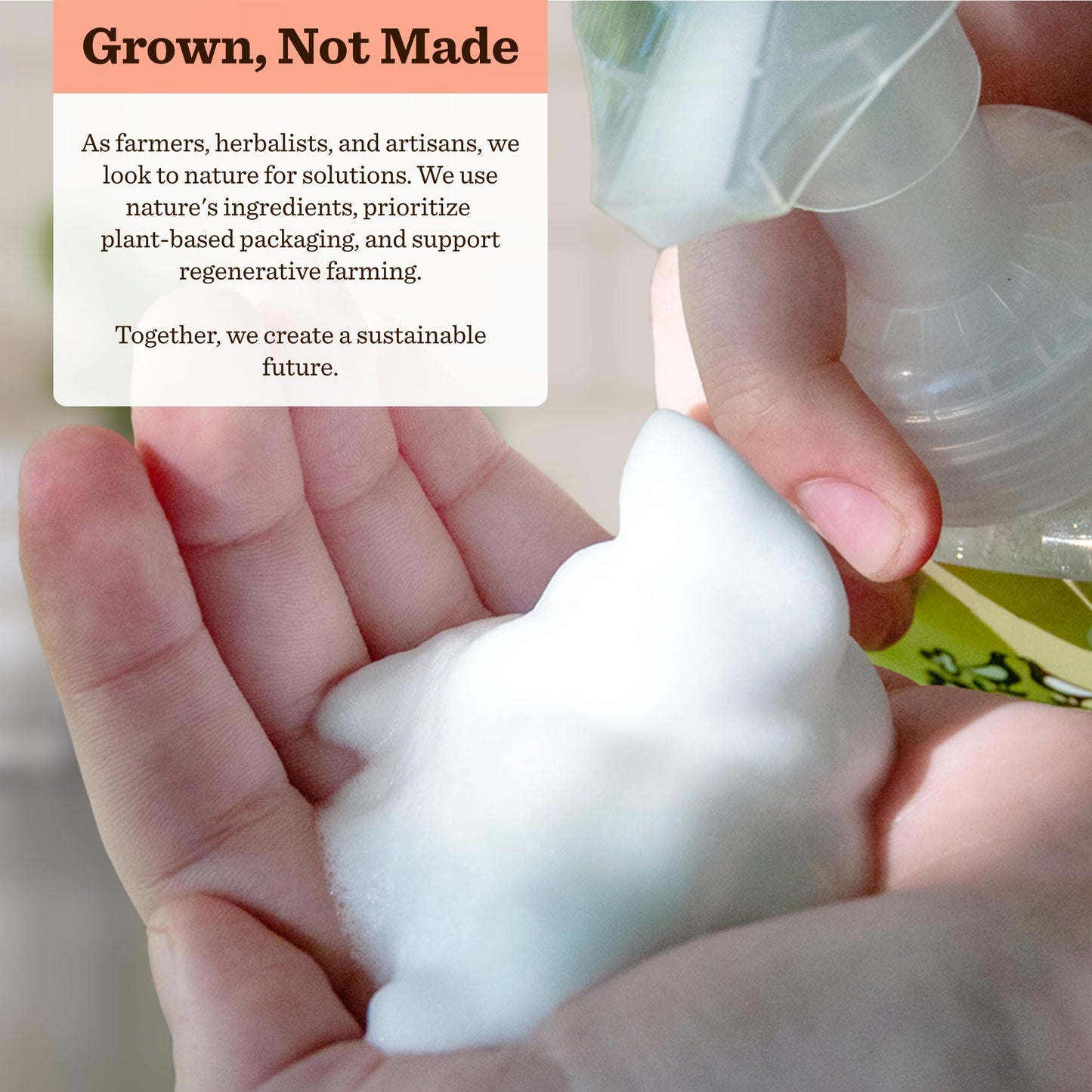 Moon Valley Foaming Hand Soap Refill Pouch, Two-Pack Grapefruit Thyme Soap, Vegan and Non-GMO, Environmentally Friendly Option Beauty & Personal Care Moon Valley Organics
