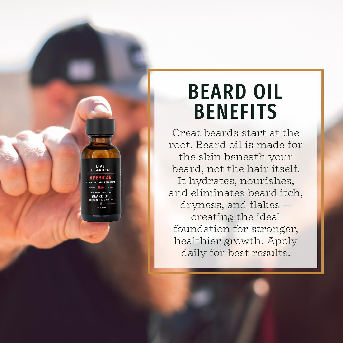 Live Bearded Beard Oil, 1 fl oz - Premium All-Natural Jojoba - Made in the USA - Hair and Skin Care for Men with Dry, Flaky Patches | American Scent Beauty & Personal Care Live Bearded