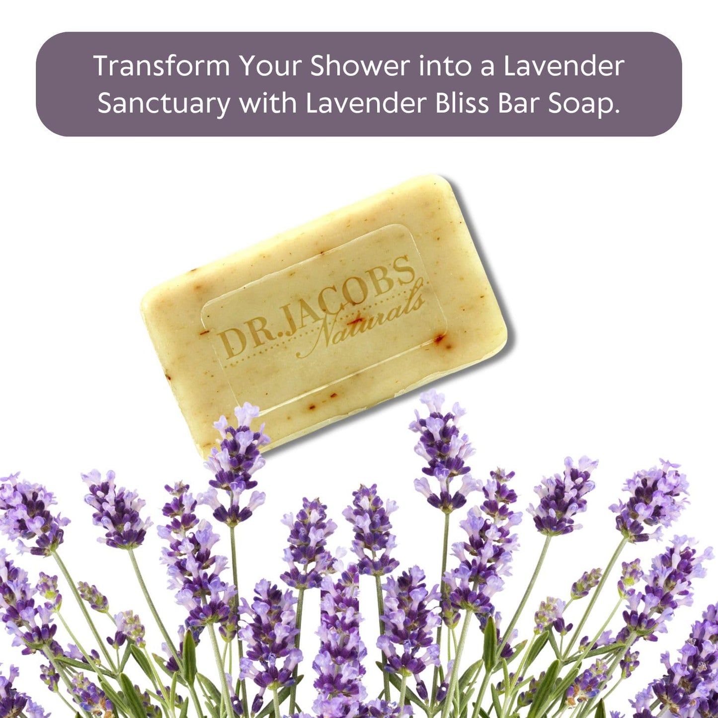Dr Jacobs Naturals, Triple Milled Loofah Exfoliating Castile Bar Soap (Pack of 2) - Free of Parabens, Sulfates, Synthetics, Gltuen and GMO (Luscious Beauty & Personal Care DR.JACOBS NATURALS