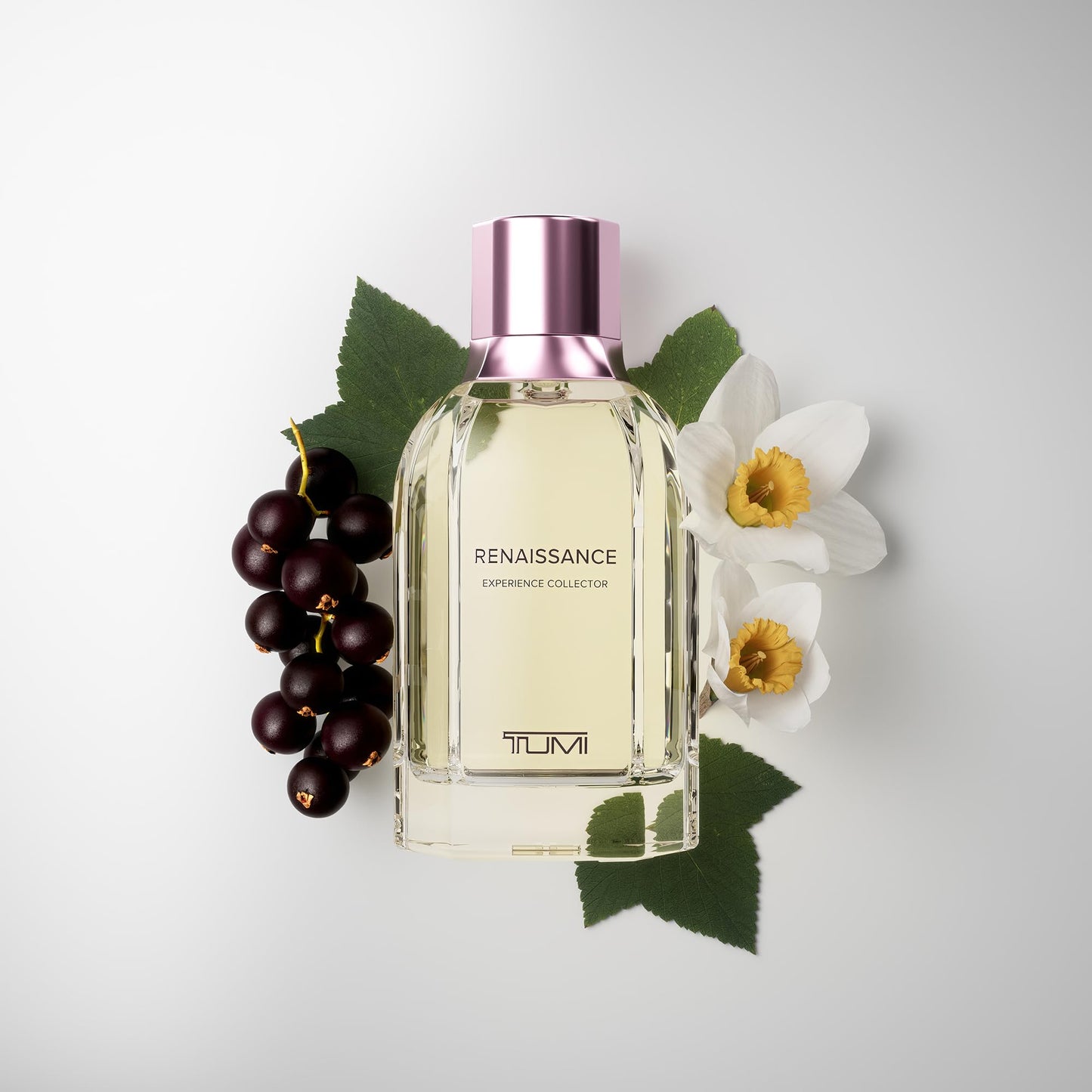 TUMI Renaissance Experience Collector 3.4 fl oz/ 100 ml ExDP Beauty & Personal Care TUMI