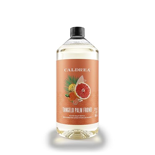 Caldrea Hand Soap Refill, Aloe Vera Gel, Olive Oil And Essential Oils To Cleanse And Condition, Tangelo Palm Frond Scent, 32 Oz Beauty & Personal Care Caldrea