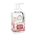 Michel Design Works Scented Foaming Hand Soap, Santa's Eve Beauty & Personal Care Michel Design Works