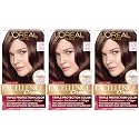 L'Oreal Paris Excellence Creme Permanent Hair Color, 5AR Medium Maple Brown (3 Count) Beauty & Personal Care L'Oreal Paris