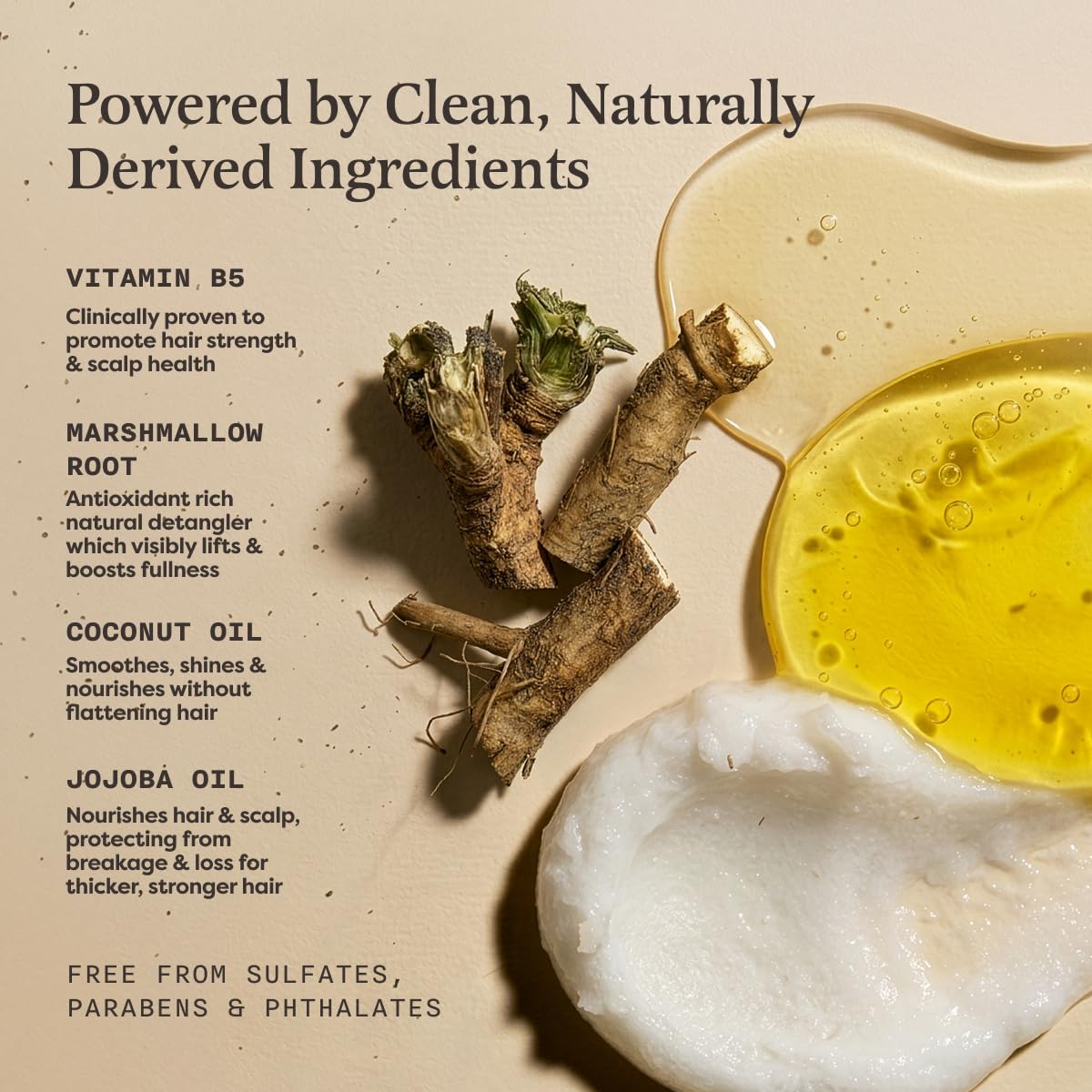 The Earthling Co. Volumizing Shampoo & Conditioner Bar Set For Thickening, Fullness, Strength, and Growth - Sulfate, SIlicone, Paraben Free for Thin Beauty & Personal Care The Earthling Co.