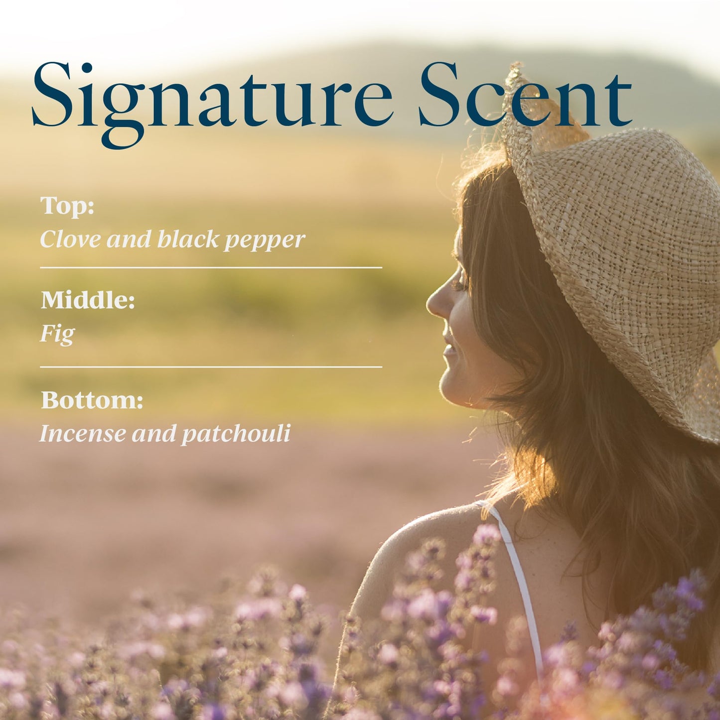 Provence Sante Natural Liquid Soap - Moisturizing Almond Oil Hand Soap with Earthy Fig Scent - Elegant Pump Dispenser for Kitchen & Bath (16.9 oz) Beauty & Personal Care Provence Sante