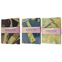 G.B.S All Natural Vegan Unscented Cold Pressed Hand and Body Soap for Sensitive Skin - Coconut Oil Nourishing and Gentle (Pack of 3) Beauty & Personal Care G.B.S