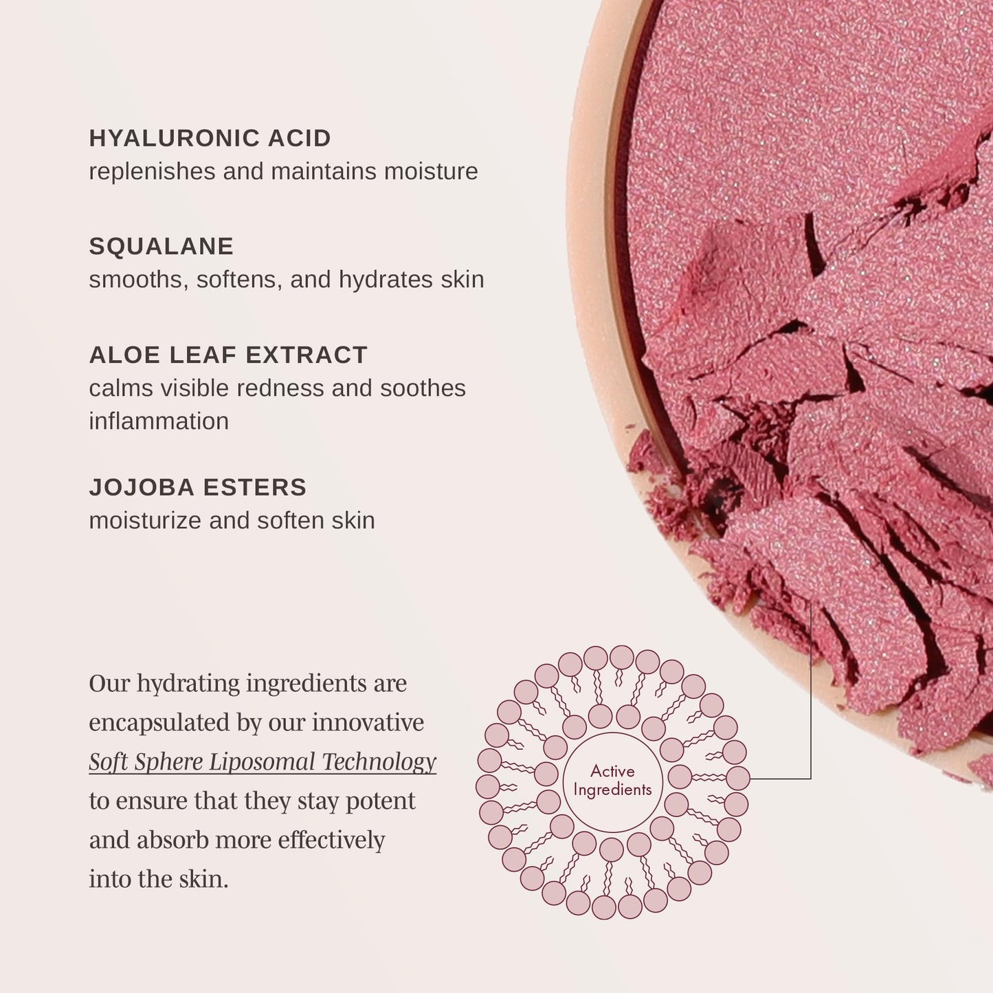 Wander Beauty Hydrating Powder Blush - Lightweight, Rose Blush Makeup with a Blurring, Satin Finish - Buildable Formula with Hyaluronic Acid, Squalane Beauty & Personal Care Wander Beauty