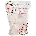 Bodycology Cherry Blossom Bath Fizzies Soak Balls, 8 Count Beauty & Personal Care Bodycology