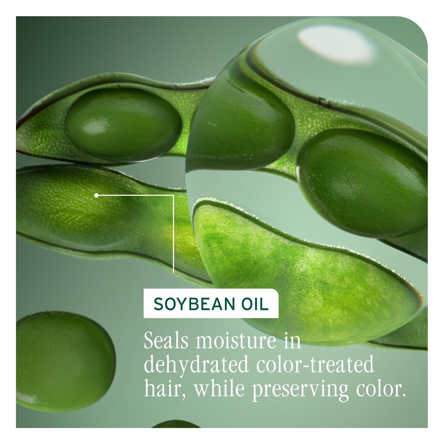 Biolage Color Last Shampoo - For Color-Treated Hair, Nourishes, Strengthens, Hydrates and Adds Shine, Soybean Oil & Stearic Acid, Paraben & Mineral Beauty & Personal Care Biolage