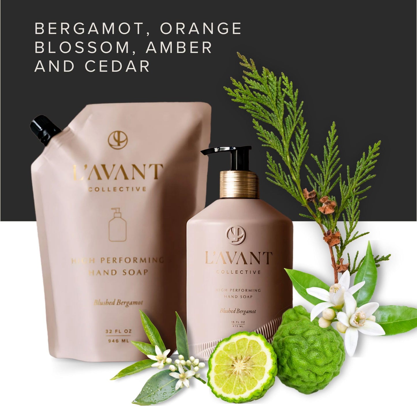L'AVANT Collective Natural Luxury Hand Soap | Plant-Based, Non-Toxic & Moisturizing, Safe for Kids & Pets, Refillable Glass Bottle with Pump, 16 Fl Beauty & Personal Care L'AVANT Collective