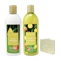 Bath & Body Works Fruity Infusion - Duo Set - Moisturizing Conditioner and Shampoo with a Natural Oats Sample Soap Beauty & Personal Care Bath & Body Works