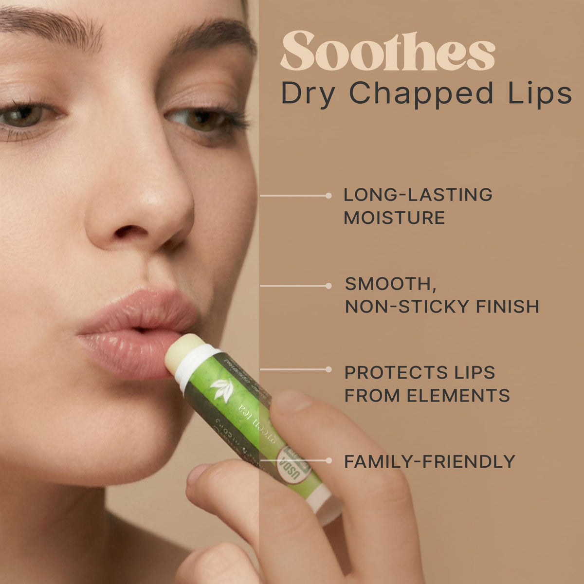 USDA Organic Lip Balm - USA Made with Natural Ingredients - 12-Pack (6 flavors) - Beeswax, Coconut Oil, Vitamin E - Moisturizing Chapstick for Dry Beauty & Personal Care Beauty by Earth