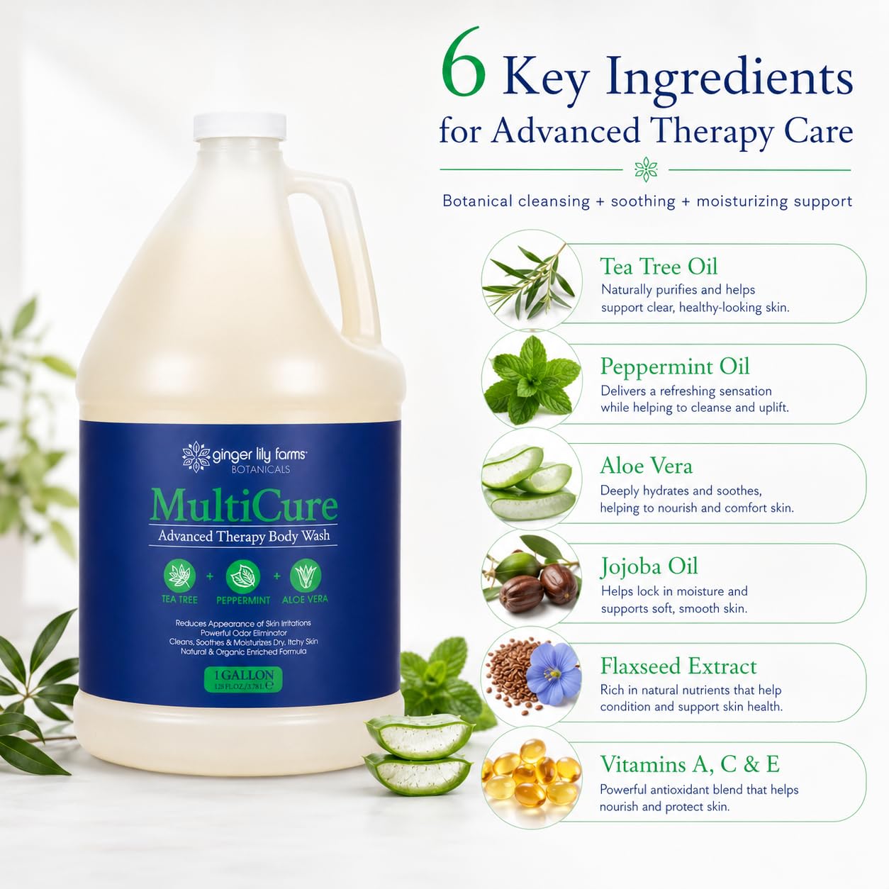 Ginger Lily Farms Botanicals MultiCure Advanced Therapy Body Wash with Tea Tree Oil, Peppermint and Aloe Vera, 100% Vegan & Cruelty-Free, 1 Gallon Beauty & Personal Care Ginger Lily Farms