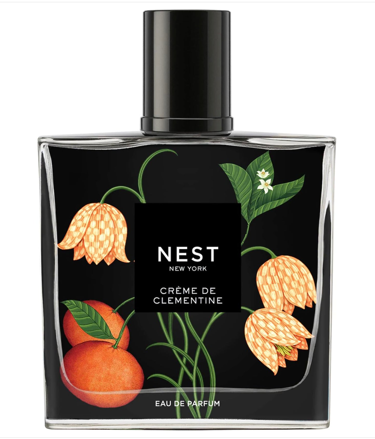 NEST New York Crème de Clementine Eau de Parfum (Full Size) - 50 mL Beauty & Personal Care NEST New York