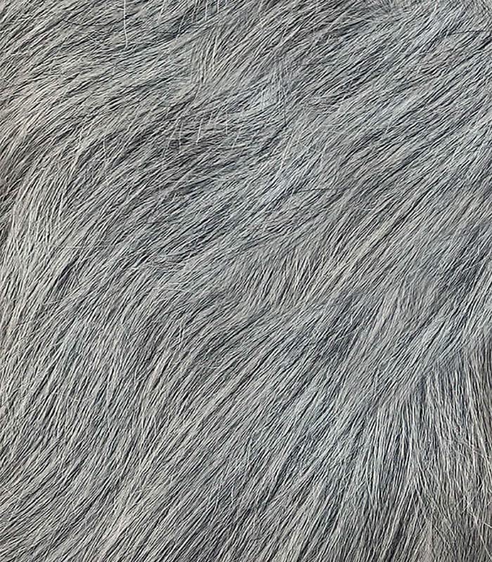 FREE TRESS Naked Brazilian Human Hair Wig - Luca (Color:GREY)