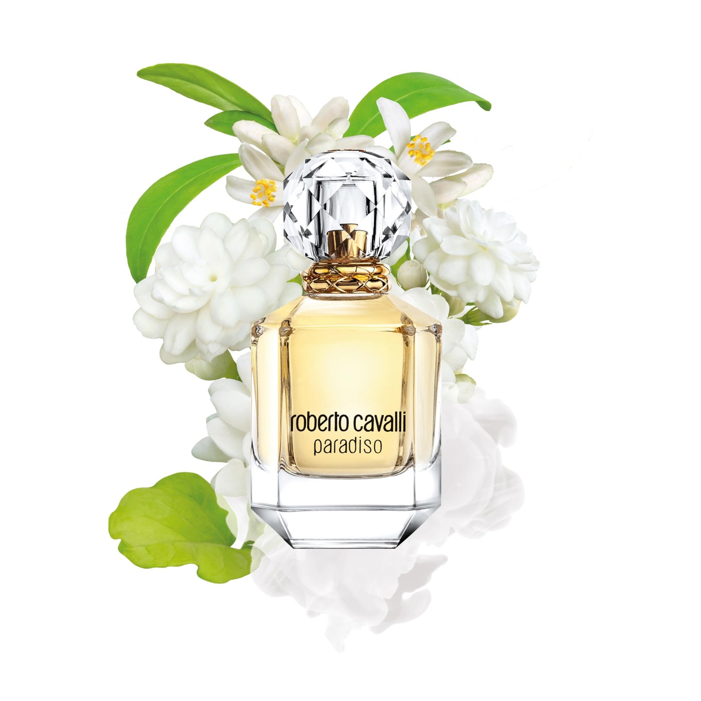 Roberto Cavalli Paradiso Eau De Parfum, 2.5 Fl Oz Beauty & Personal Care ROBERTO CAVALLI