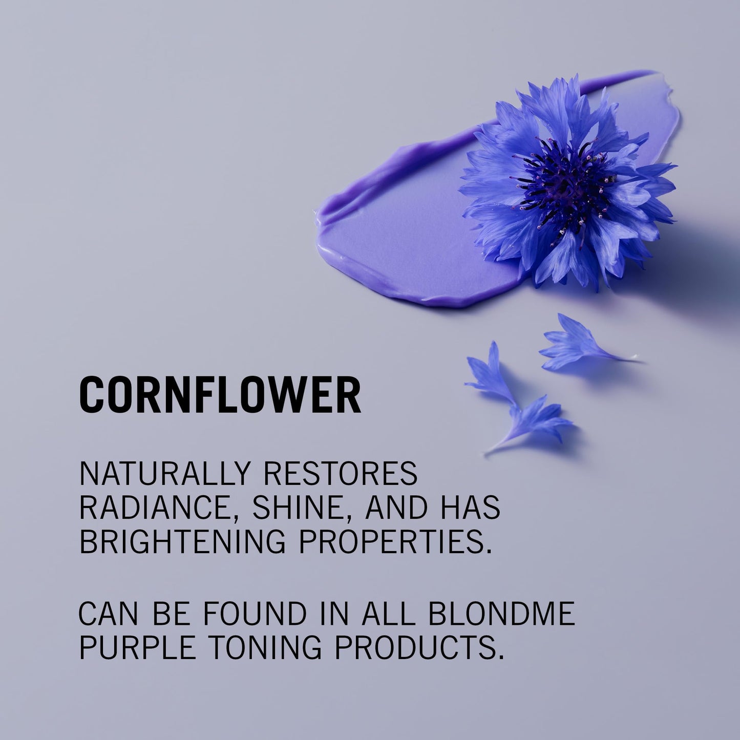 BLONDME Bond Repair Purple Shampoo & Conditioner Bundle | Neutralized Yellow Undertones, Prevents Brassiness & Strengthen Blonde Hair Beauty & Personal Care BlondMe