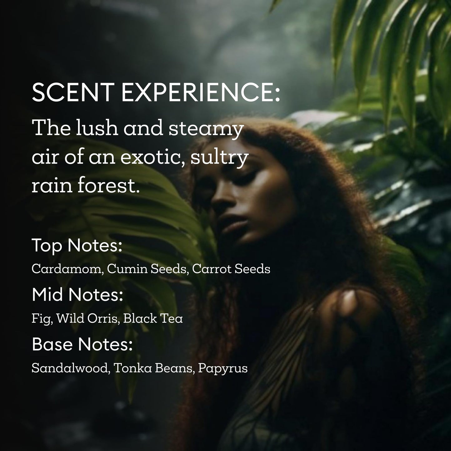 Fine'ry Jungle Santal Hair + Body Fragrance Fine Mist Spray | Earthy Woody Scent with Papyrus Wood, Indian Cardamom, Black Oolong Tea, Vegan Beauty & Personal Care Fine'ry