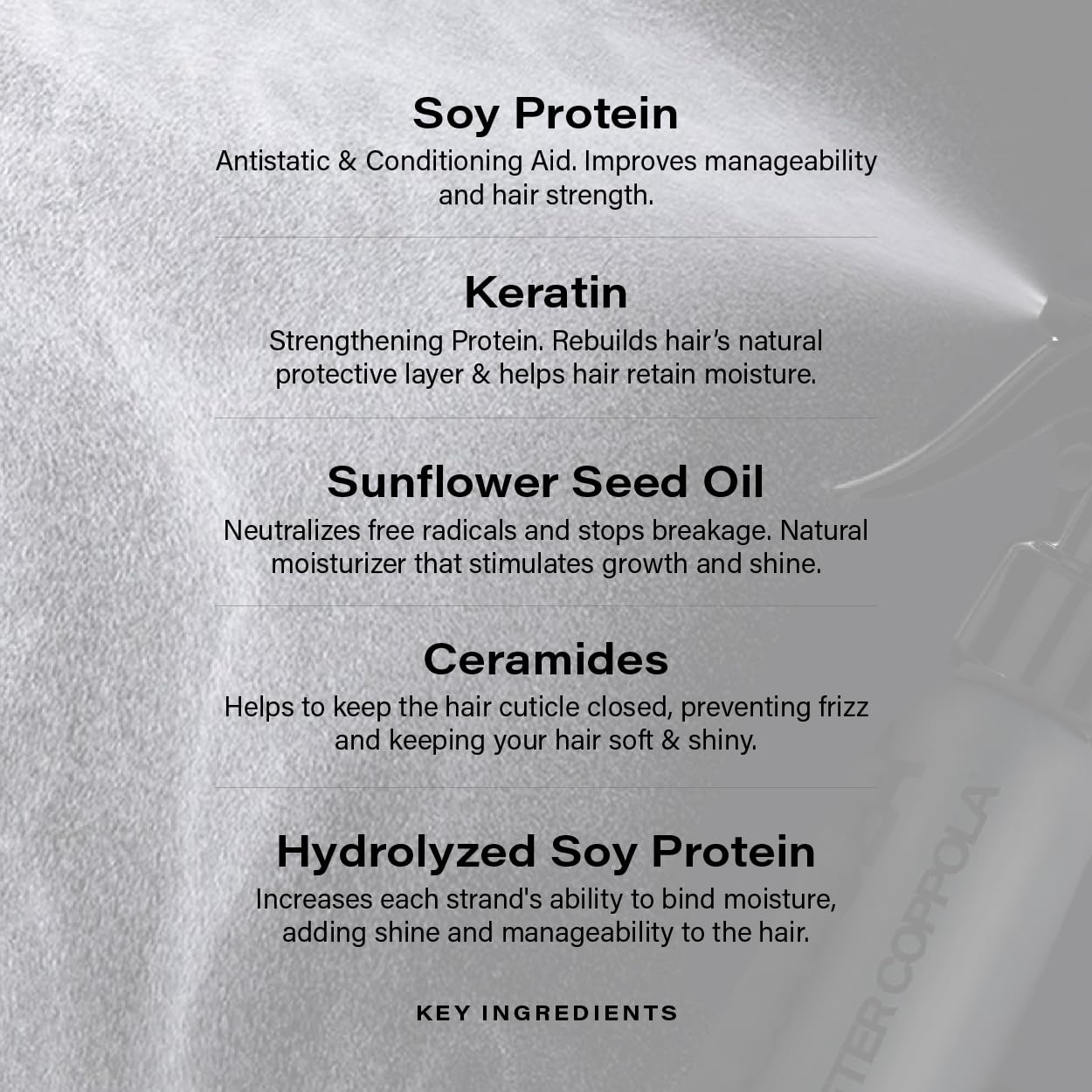 PETER COPPOLA Just Blow - Heat Protectant Spray for Blow-Drying, Anti-Frizz, Smoothing and Straightening All Hair Types - Conditions and Adds Shine Beauty & Personal Care PETER COPPOLA