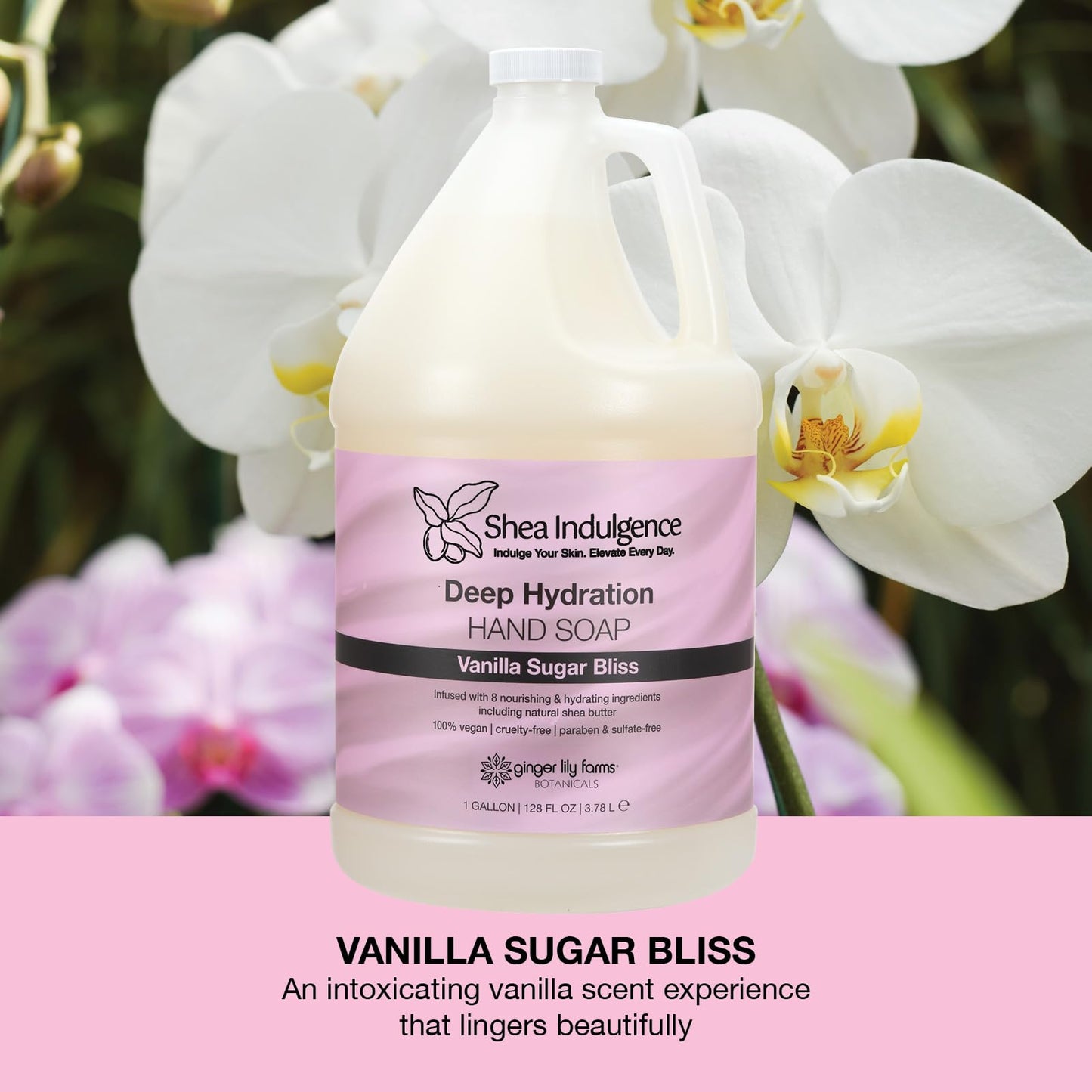 Ginger Lily Farms Botanicals Shea Indulgence Deep Hydration Liquid Hand Soap Refill, 100% Vegan & Cruelty-Free, Vanilla Sugar Bliss Scent, 1 Gallon Beauty & Personal Care Ginger Lily Farms