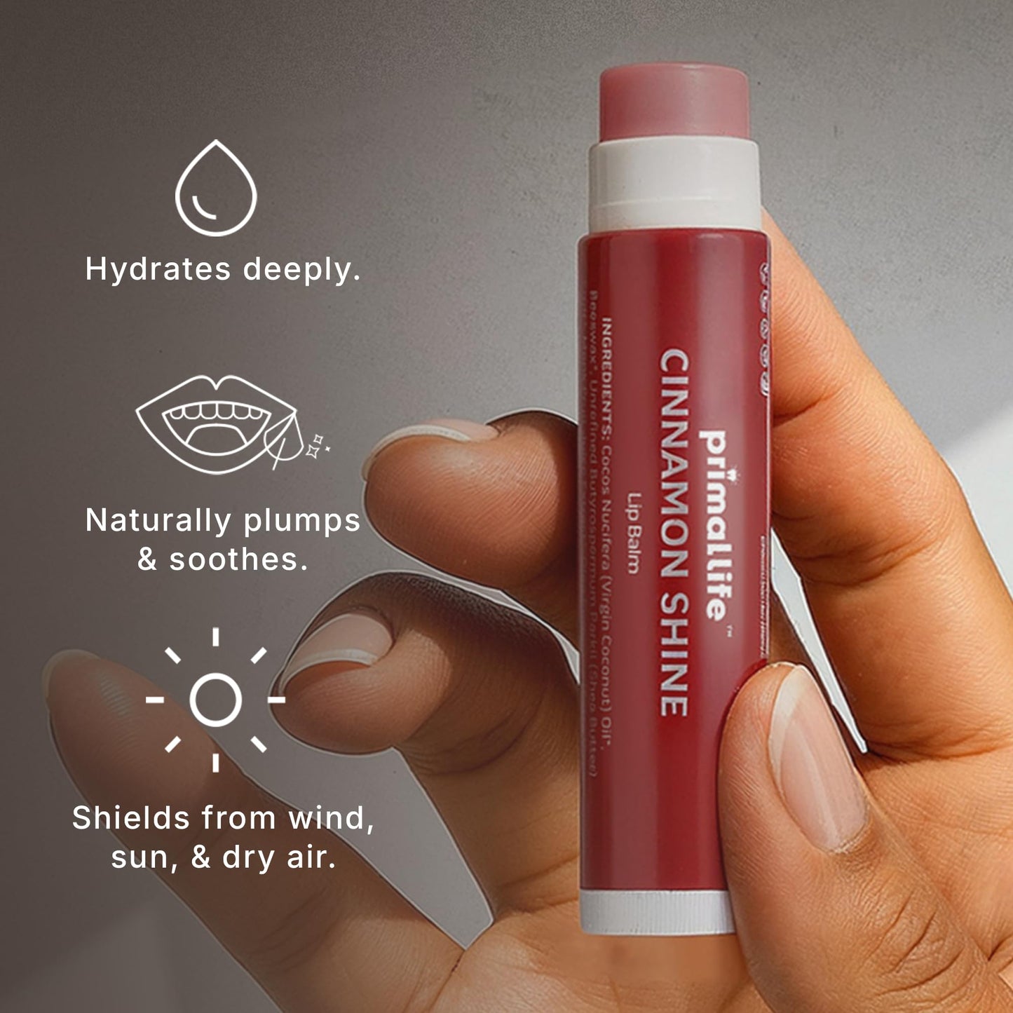 Primal Life Organics - Lip Balm, Hydrating Lip Care with Shea Butter, Beeswax, Coconut Oil, All-Day Moisturizing (Cinnamon) (Tinted, 0.15 Ounce (Pack Beauty & Personal Care Primal Life Organics