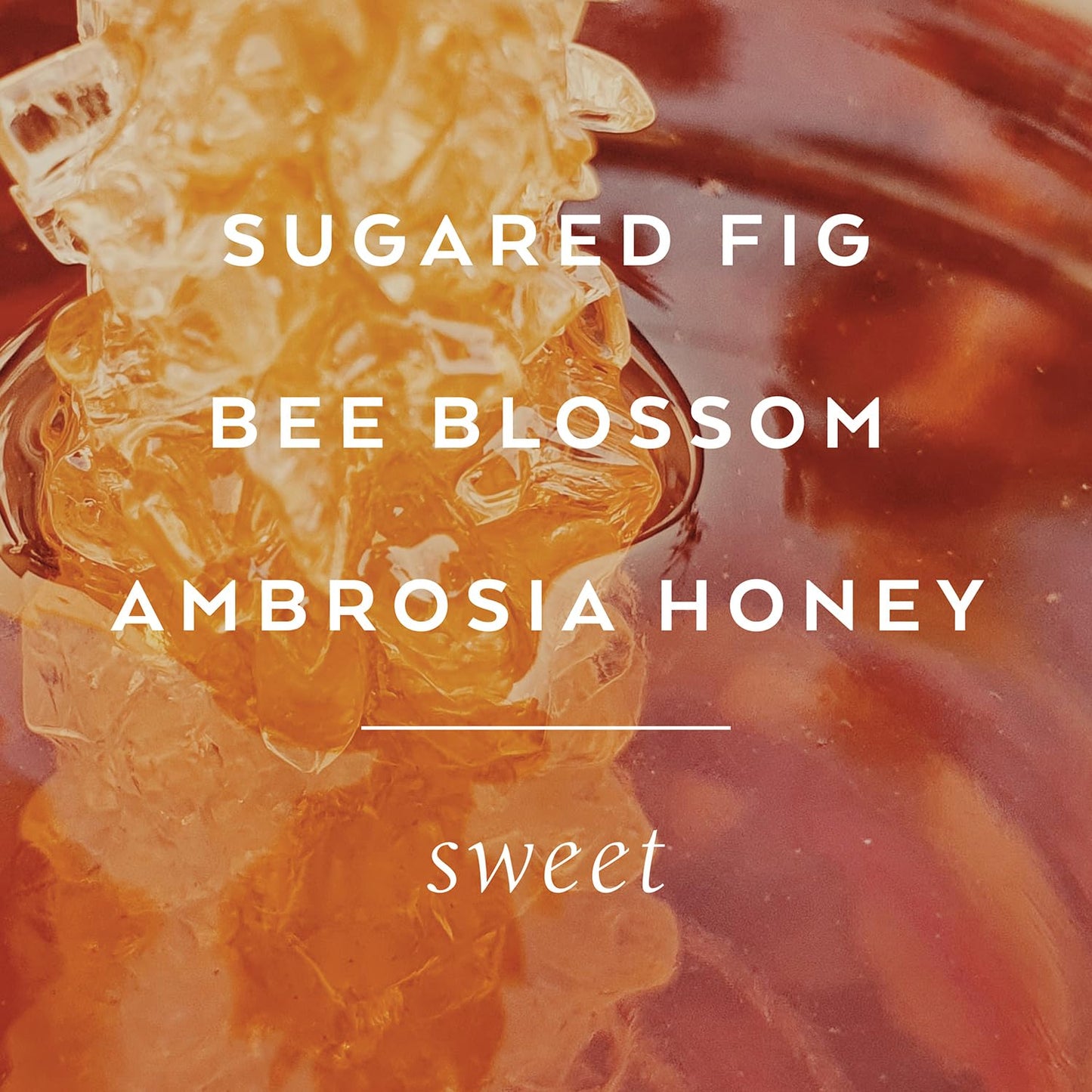 Library of Flowers Honeycomb Eau de Parfum, 1.69 Fl. Oz., Sugared Fig, Ambrosia Honey & Royal Bee Blossom Scented Women's Perfume, Luxury Fragrance Beauty & Personal Care Library of Flowers