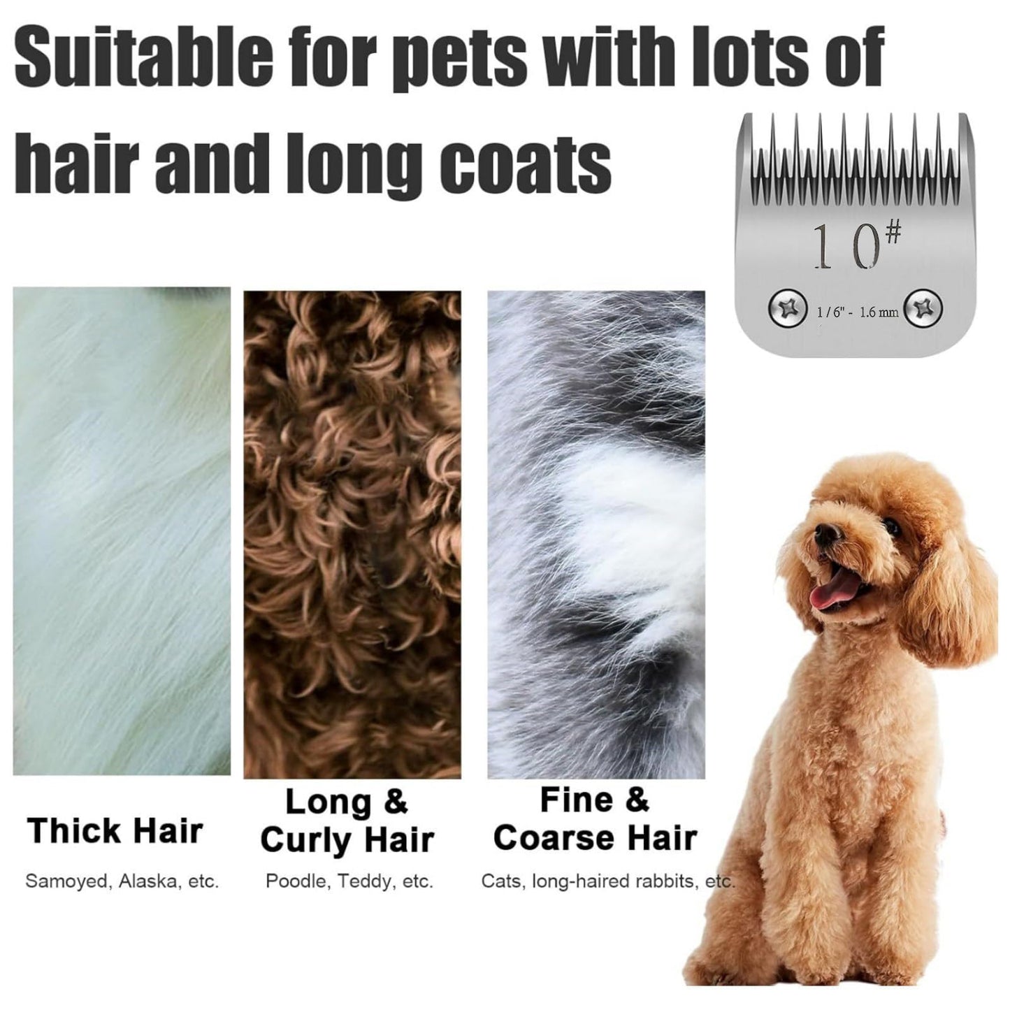 Stainless Steel Detachable Dog Clipper Blade Replacement, 1.6mm Size-10F for Wahl KM2, KM5, KM10, A5 Clippers Beauty and Personal Care NATEFEMIN