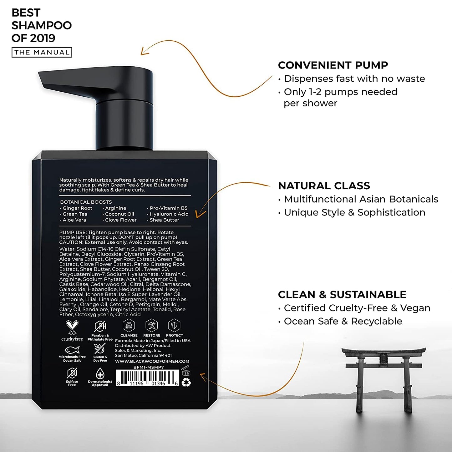 BLACKWOOD FOR MEN Hydro Cleanse Complete Set including Scalp Massager, Hydroblast Shampoo, Hydroblast Conditioner, Pure Moisture Body Wash, & BioFuse Beauty & Personal Care Blackwood For Men