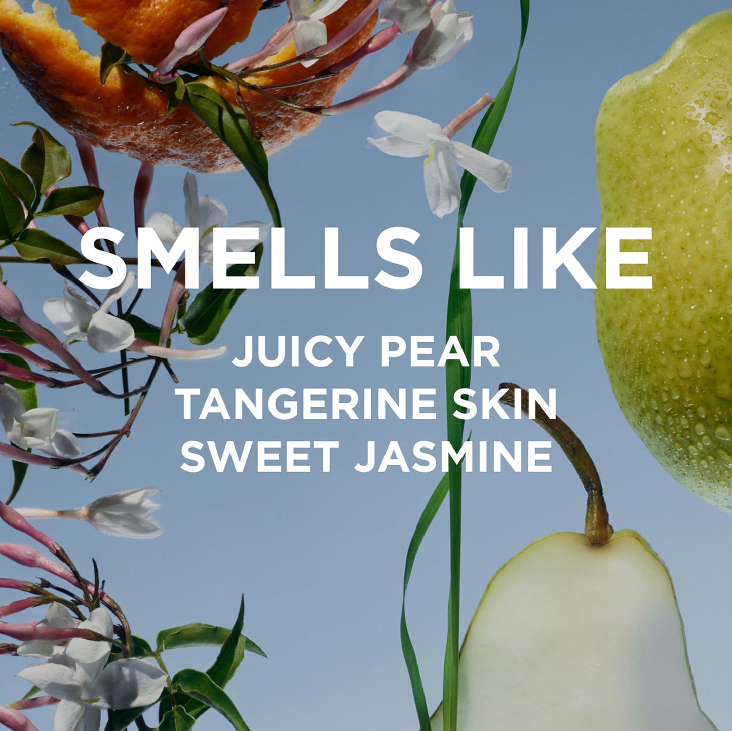 By Rosie Jane Perfume Oil (Leila Lou) - Travel Size Roll On Perfume with Notes of Juicy Pear, Sweet Jasmine & Tangerine Skin - Paraben, Sulfate Beauty & Personal Care By Rosie Jane