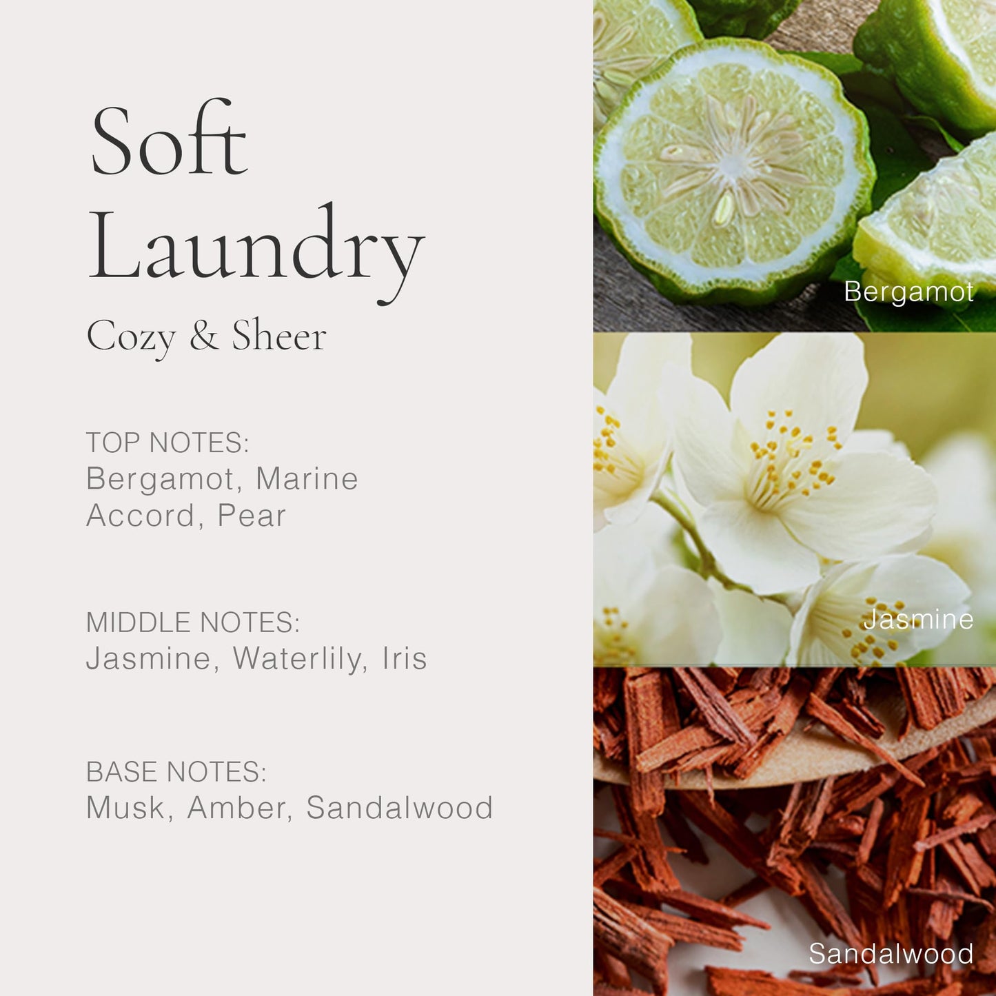 CLEAN CLASSIC Soft Laundry 30mL Beauty & Personal Care CLEAN
