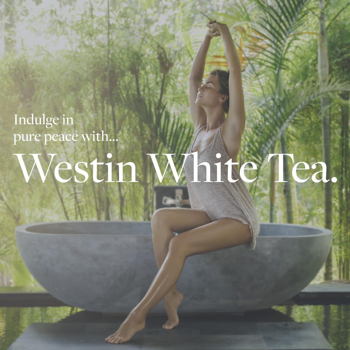 Westin White Tea Aloe Body Lotion | Hotel Spa Cream | Daily Hydration | Hand Lotion Pump | 8 oz Signature Scent Skin Moisturizer Beauty & Personal Care Westin