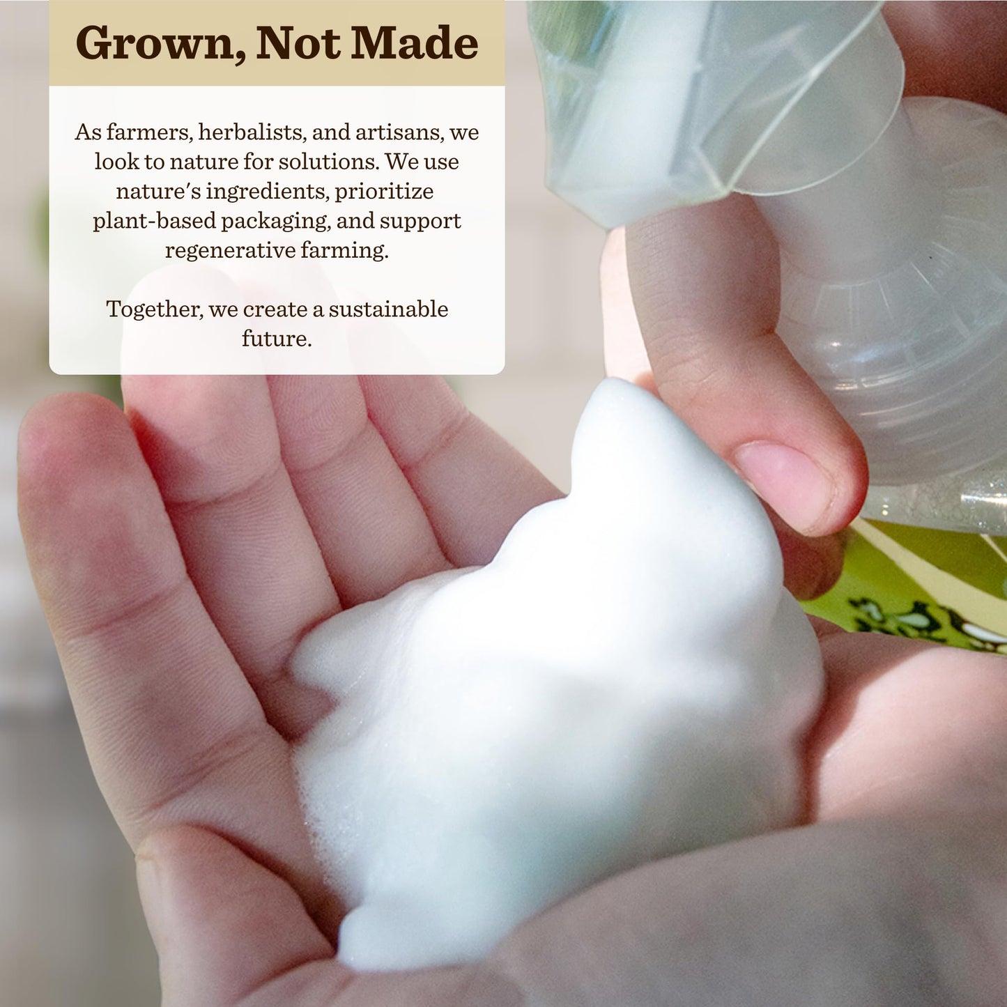 Moon Valley Herbal Foaming Hand Soap, Lemon Rosemary, Mint Lavender, Grapefruit Thyme Three Pack, Vegan, Recyclable Bottle Beauty & Personal Care Moon Valley Organics